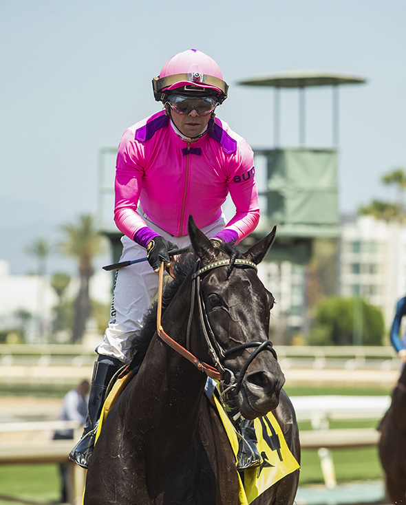 Midnight Mammoth with jockey Armando Ayuso